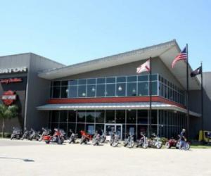 Gator Harley-Davidson |  Florida
