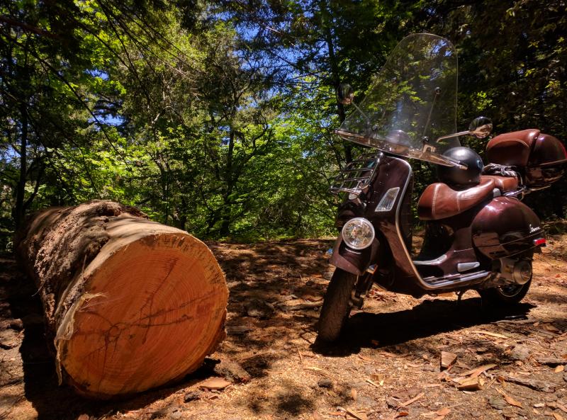 Pescadero to Alice's